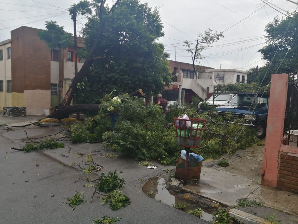 Atiende Municipio de Saltillo reportes <br>ciudadanos tras intensas lluvias