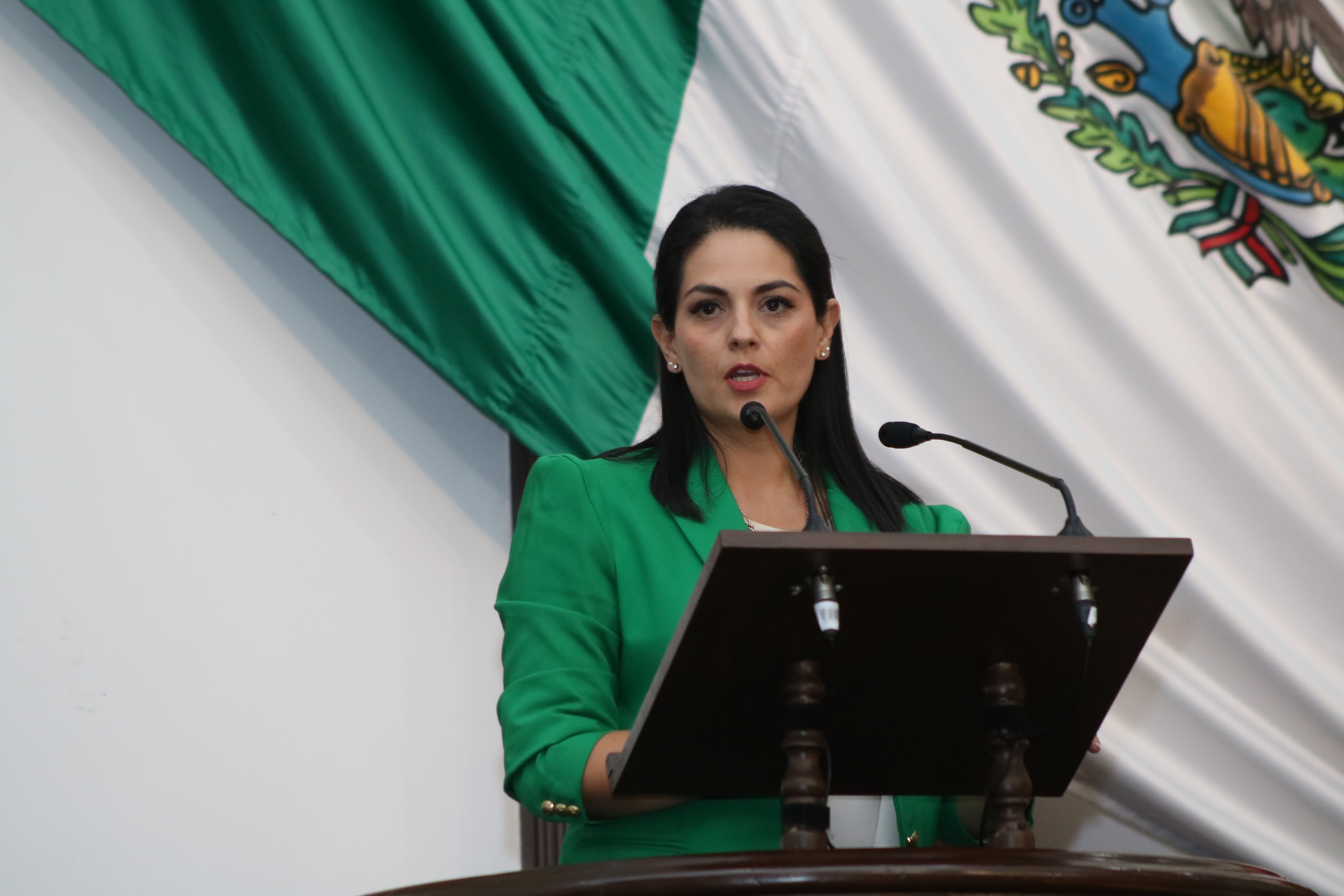 Legisla diputada por la protección a las mujeres y los menores