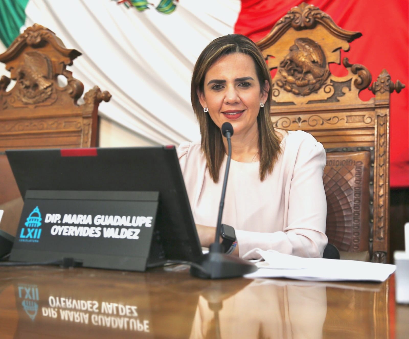 Solicita diputada incremento al presupuesto federal para el campo