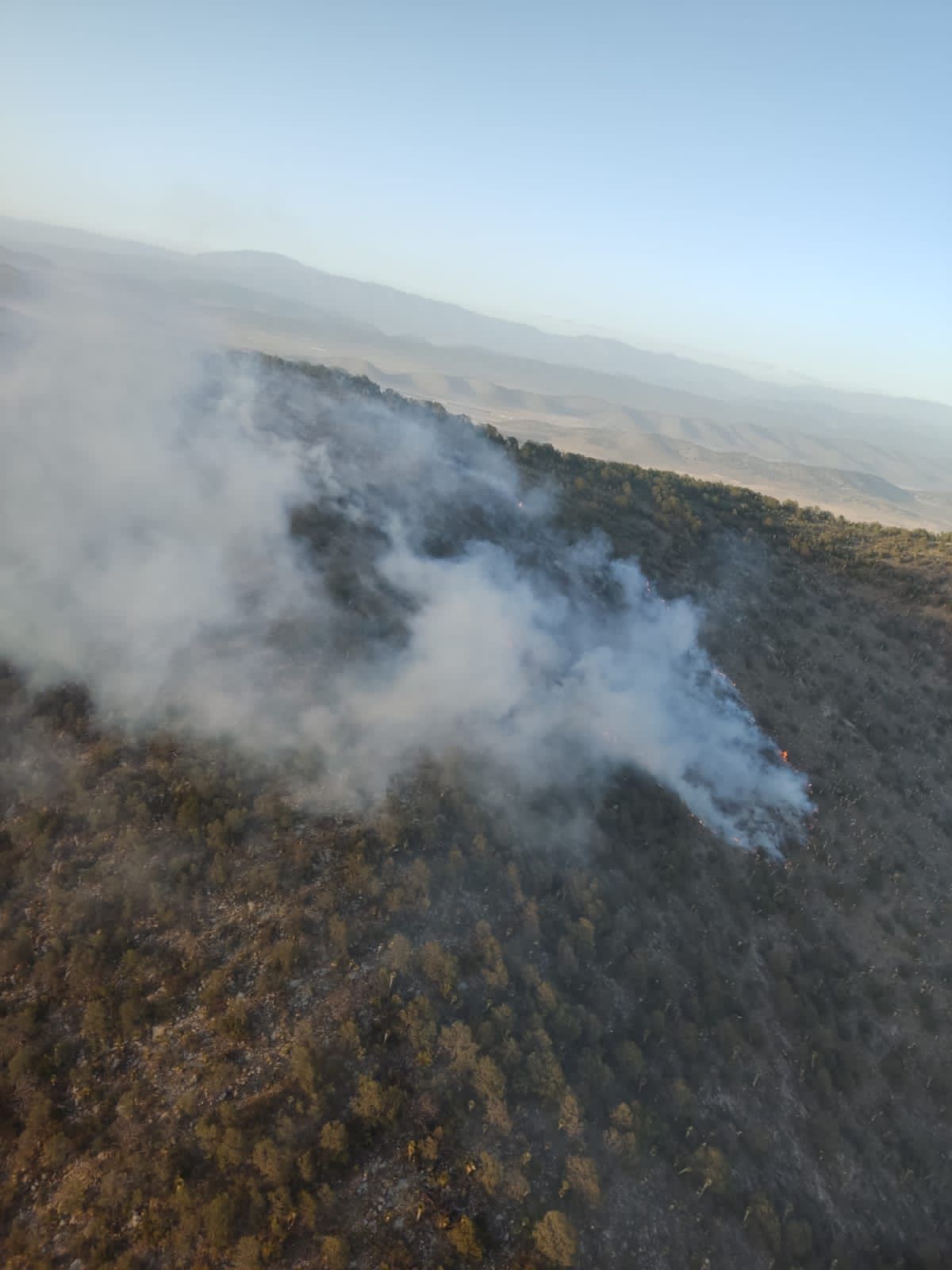 Arteaga combate incendio forestal en Las Esperanzas, Galeana NL