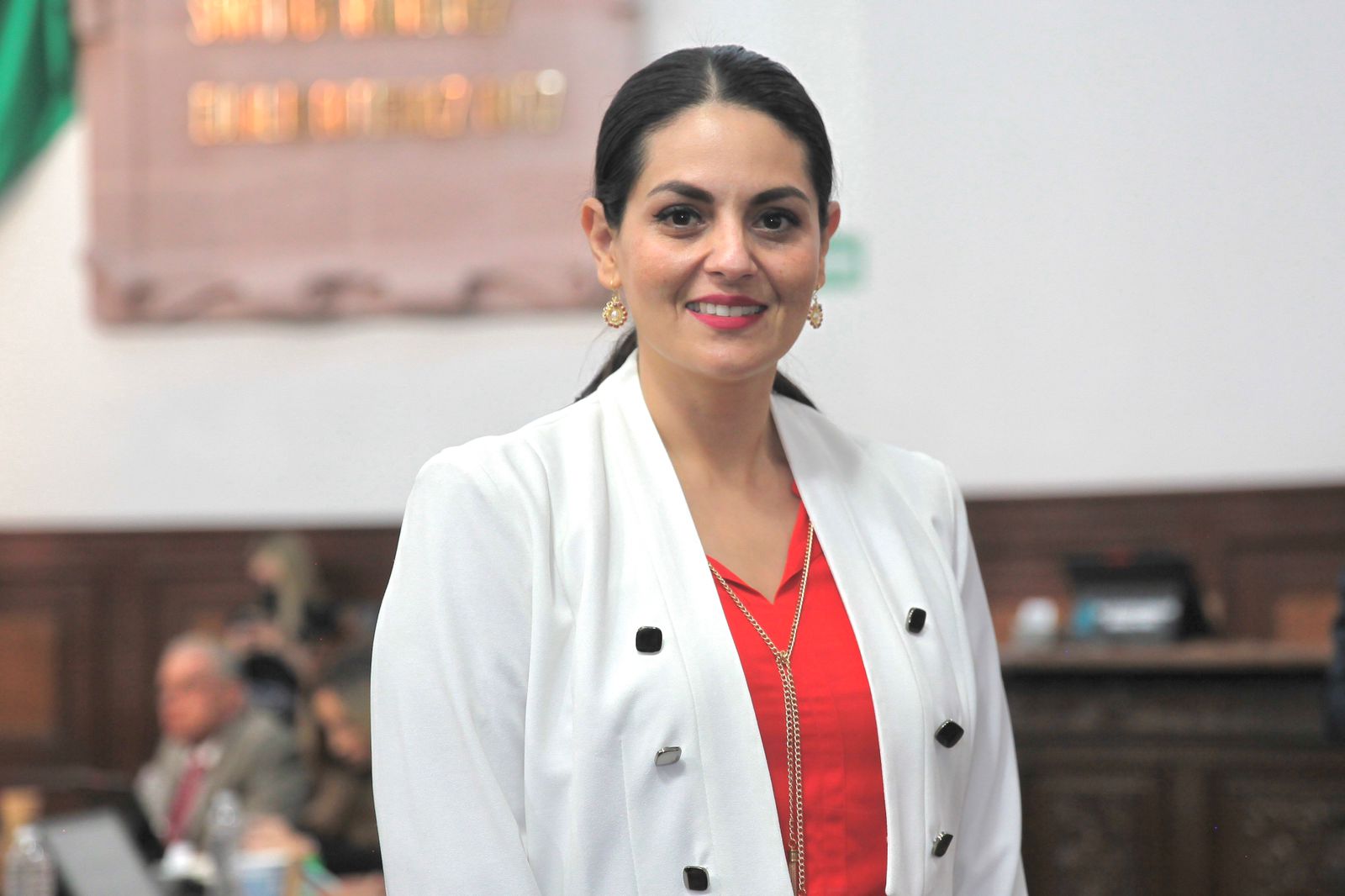 Busca el Congreso modernizar leyes