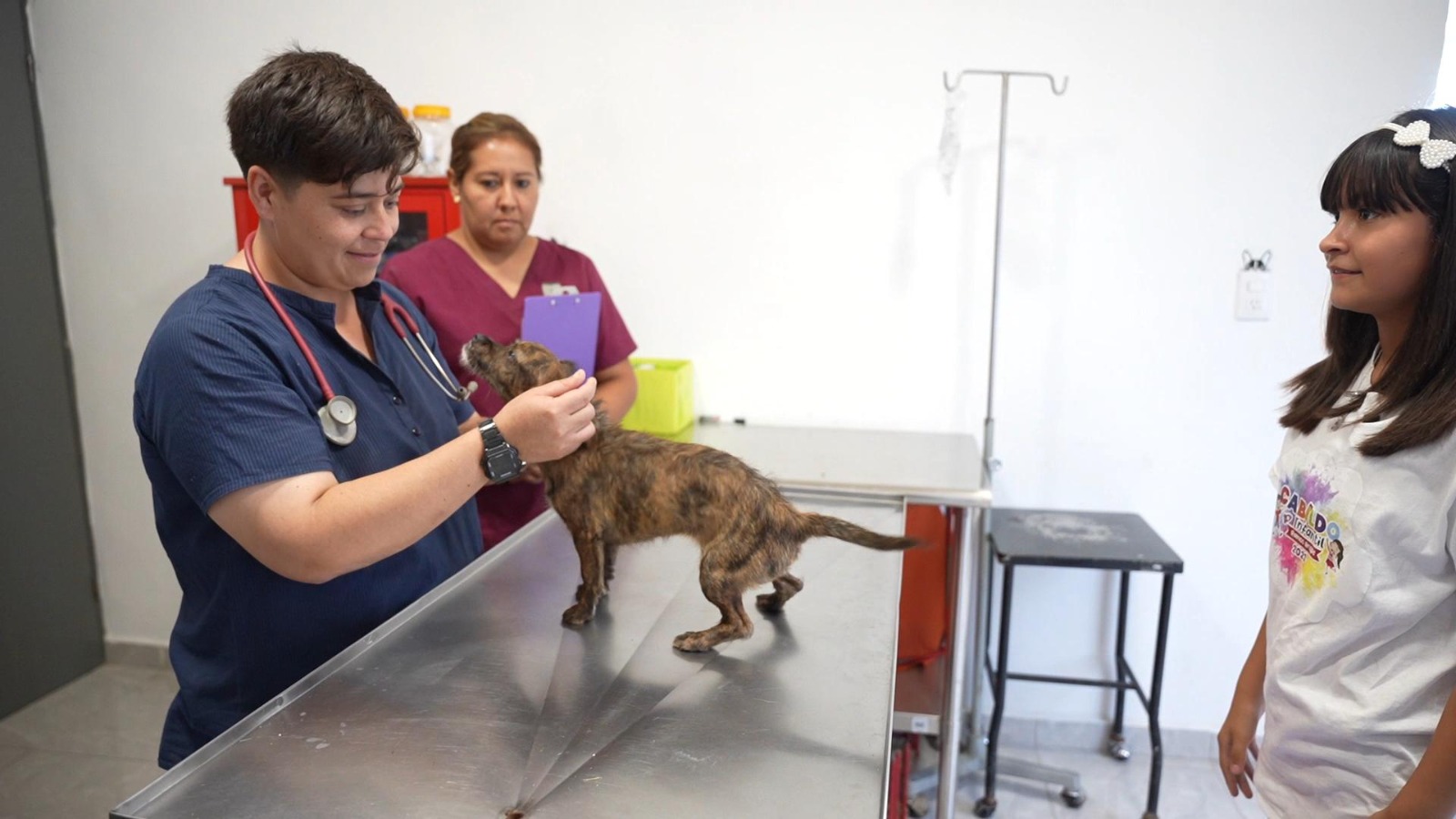 Buscan personal para “centro de bienestar animal” en Ramos Arizpe