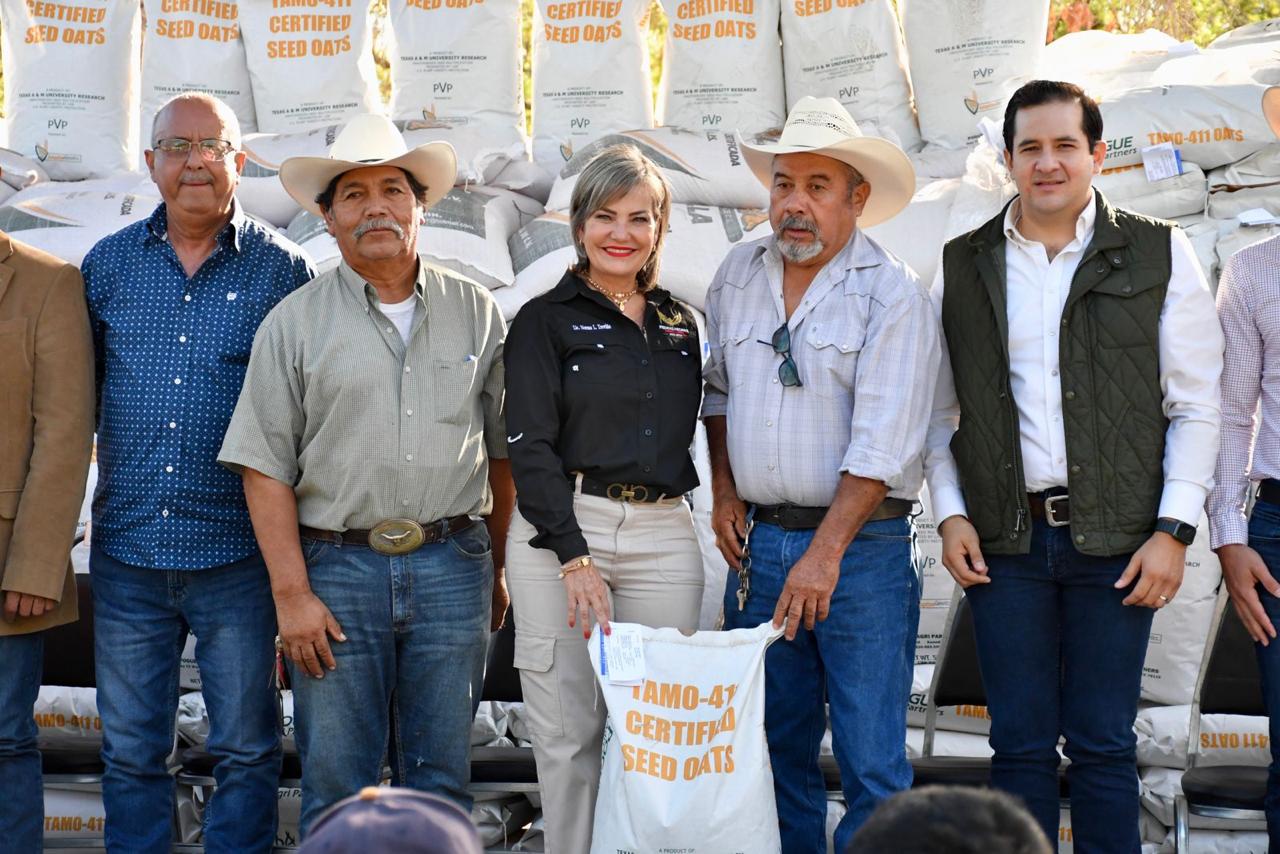 Apoya municipio al campo con avena forrajera