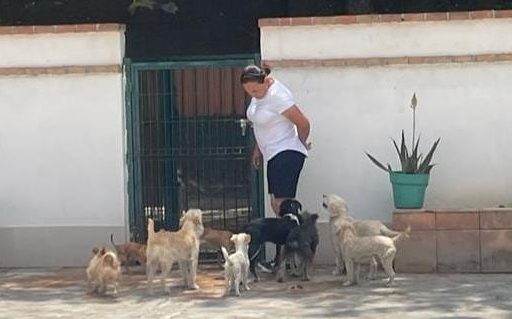 Pide Álvaro Moreira más respaldo para rescatistas de animales