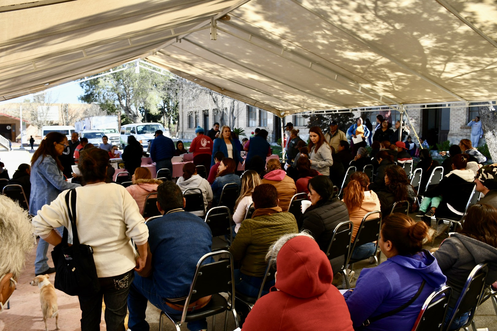 Atención ciudadana en módulo de Registro Civil resulta un éxito