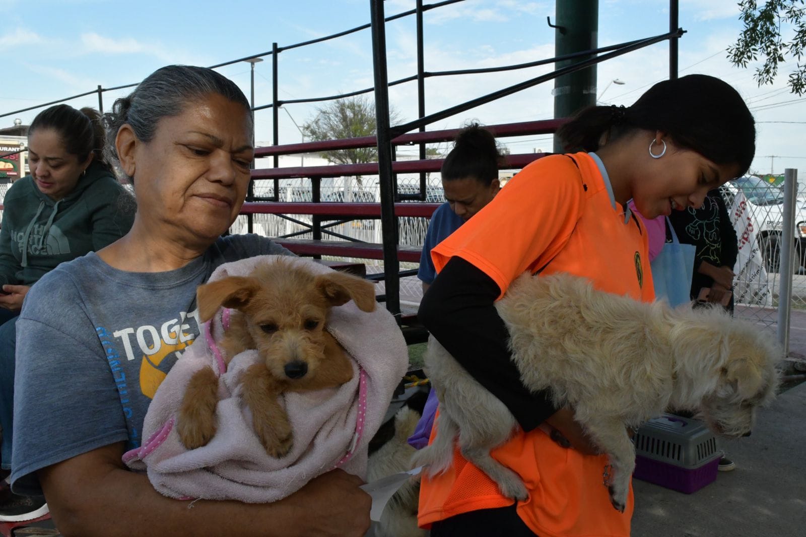 Realizan brigada de vacunación animal