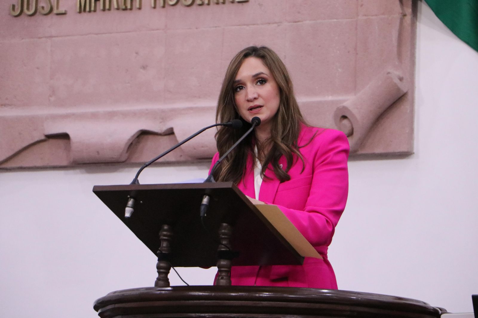 Suma de esfuerzos para la vigilancia y supervisión en asilos: Edna Dávalos