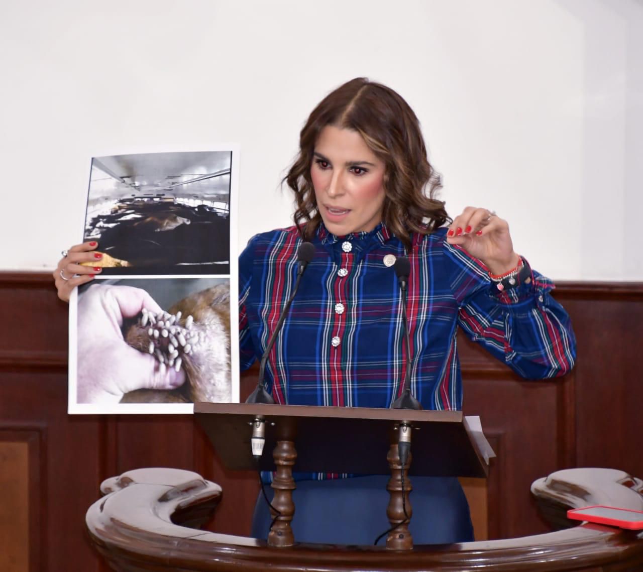 Reconoce Claudia Aldrete sinergia para reabrir frontera para exportación de ganado